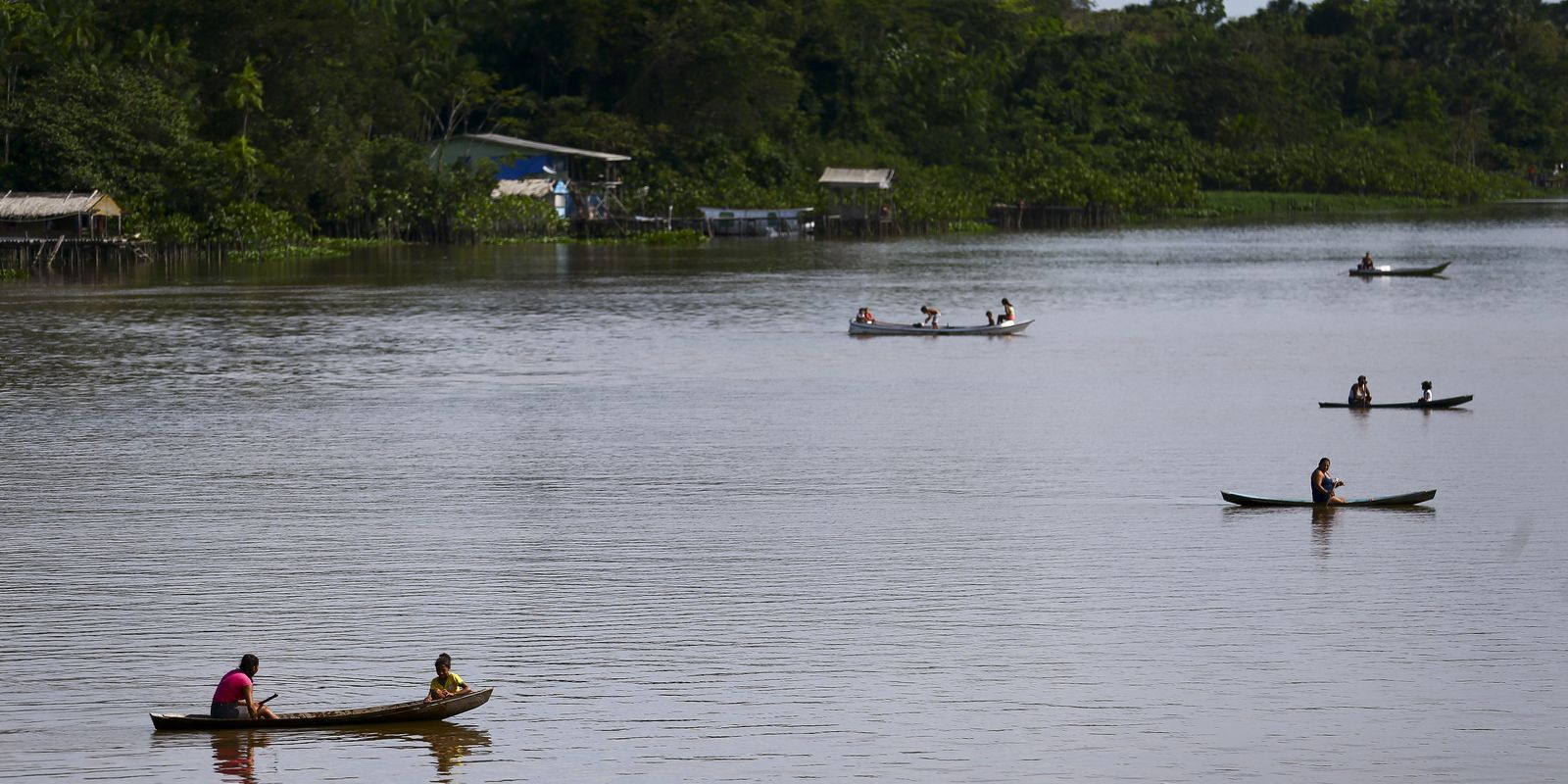 Camarão se torna escasso no oeste do Pará e Marajó