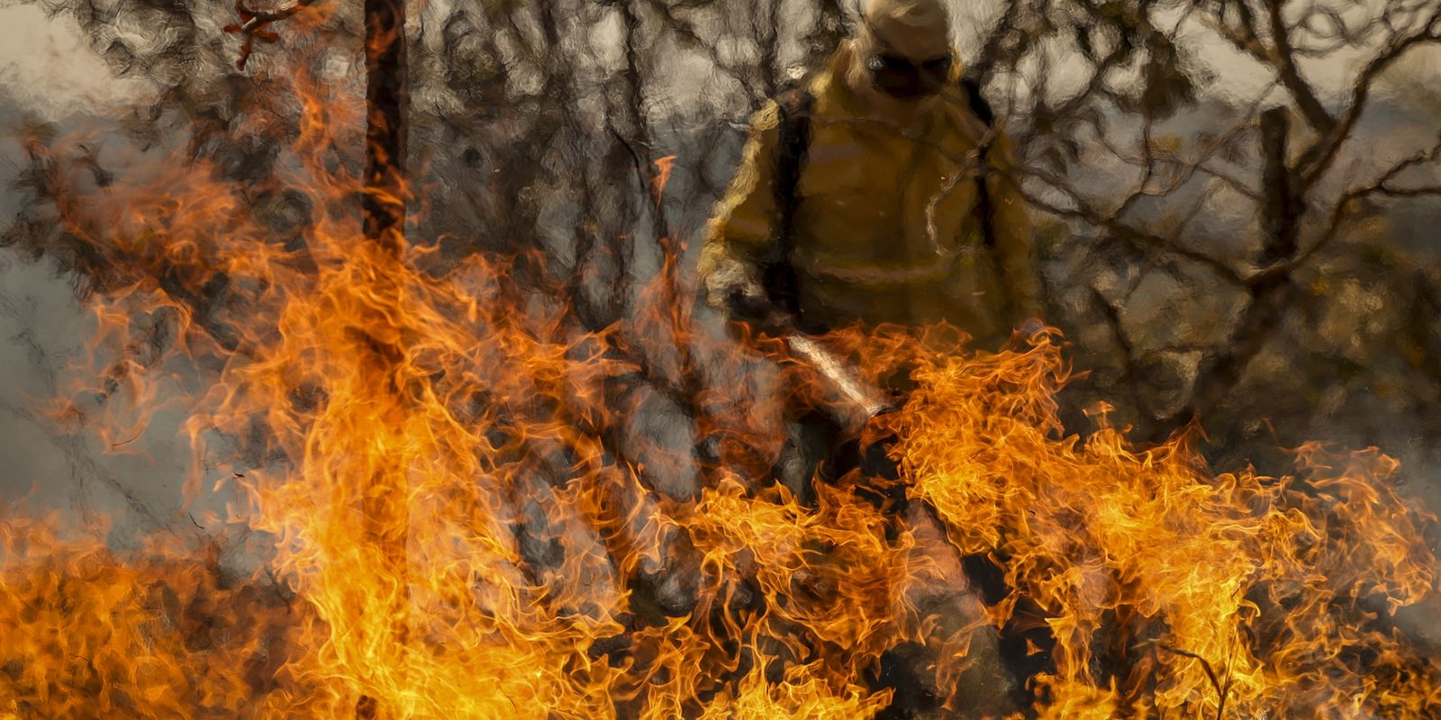 Defesa Civil diz que ação humana causou 99,9% dos incêndios em SP