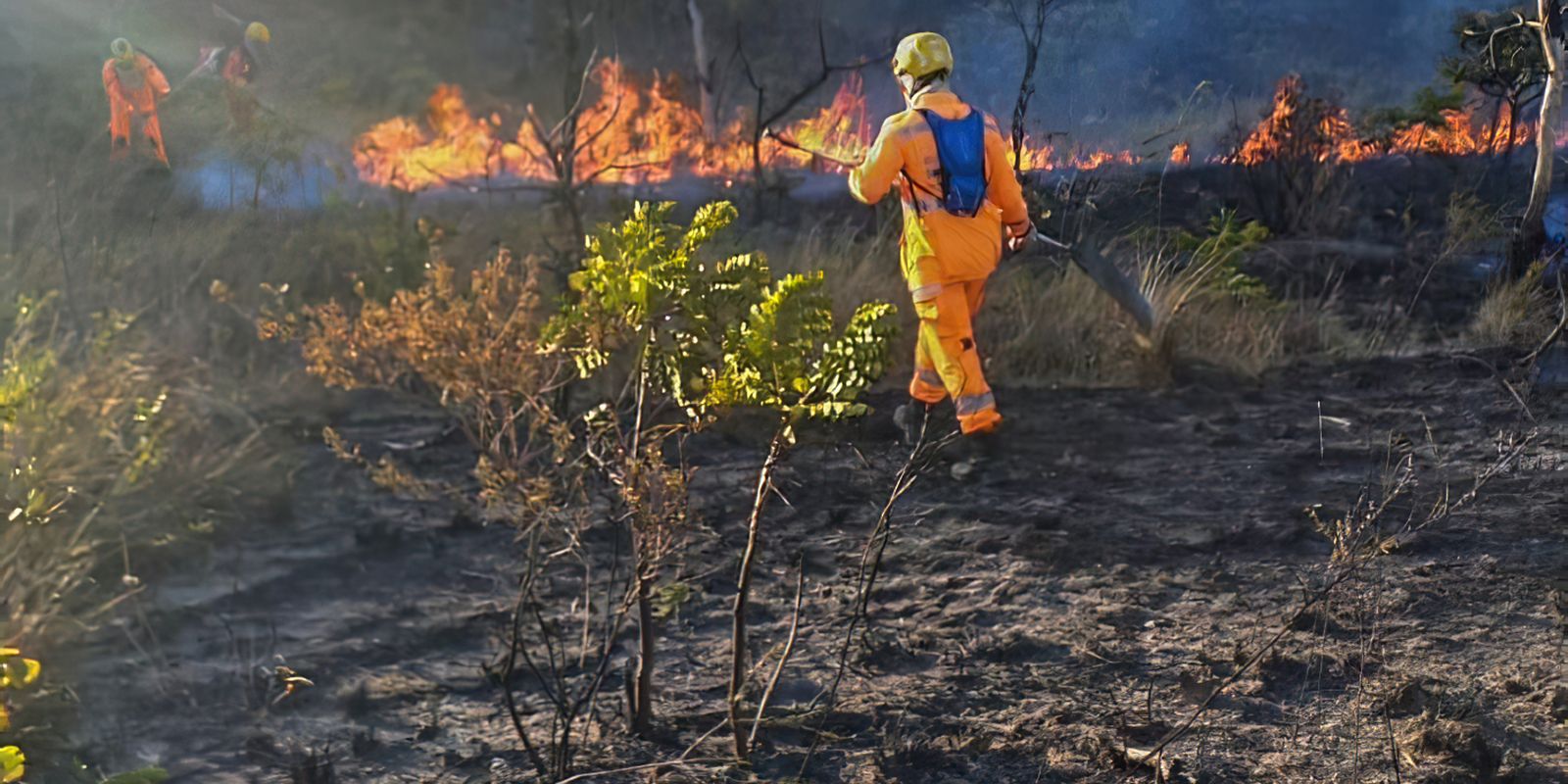 Incêndios em MG: 216 são detidos por suspeita de causar queimadas