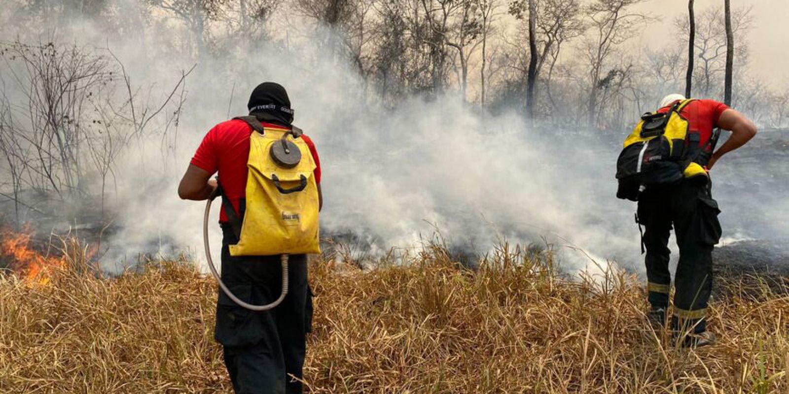 Mais de 80% do fogo em SP veio de terras de uso agropecuário