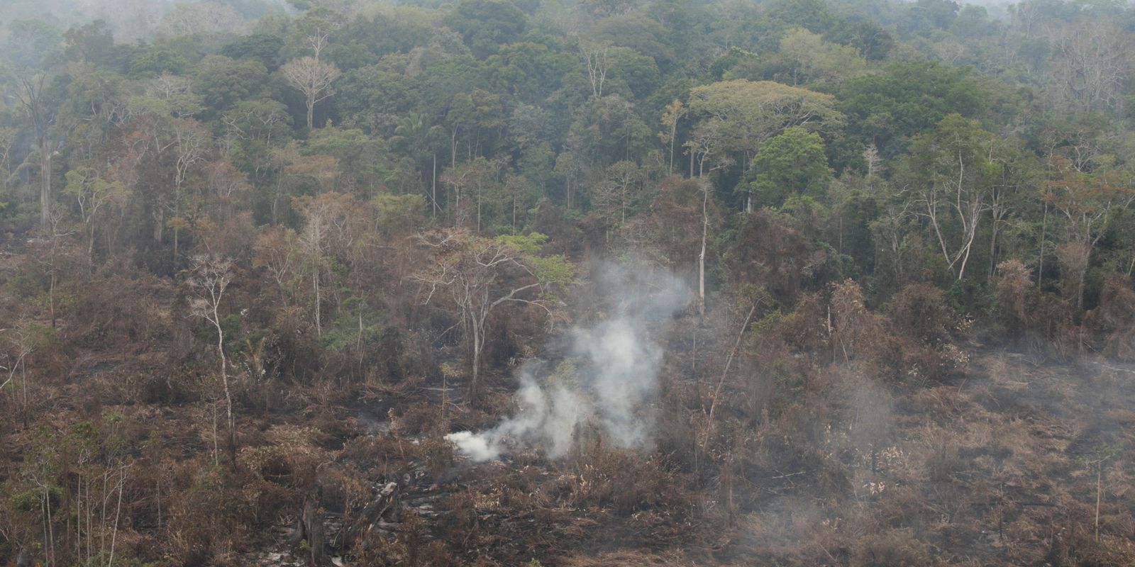 Mato Grosso lidera queimadas no Brasil, com 21 mil focos detectados