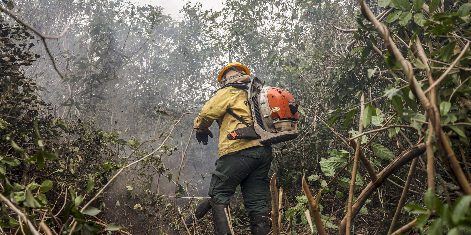 Municípios na Amazônia recebem reforço contra queimadas e incêndios