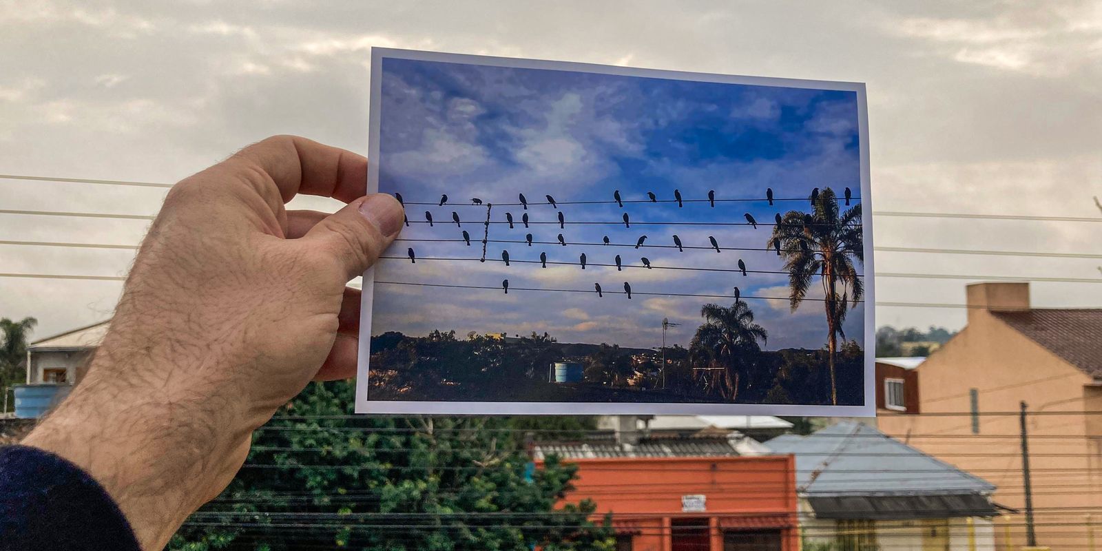 O som de uma imagem: fotógrafo da EBC inspira música premiada