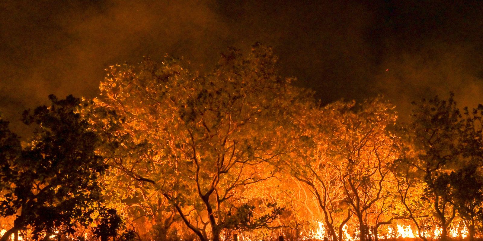 ONU atualiza diretrizes de gestão de riscos em incêndios florestais