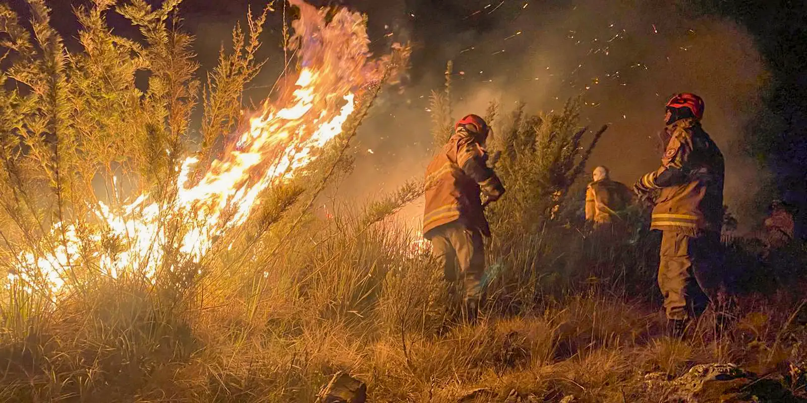 Rio de Janeiro registra mais de 13 mil incêndios florestais em 2024