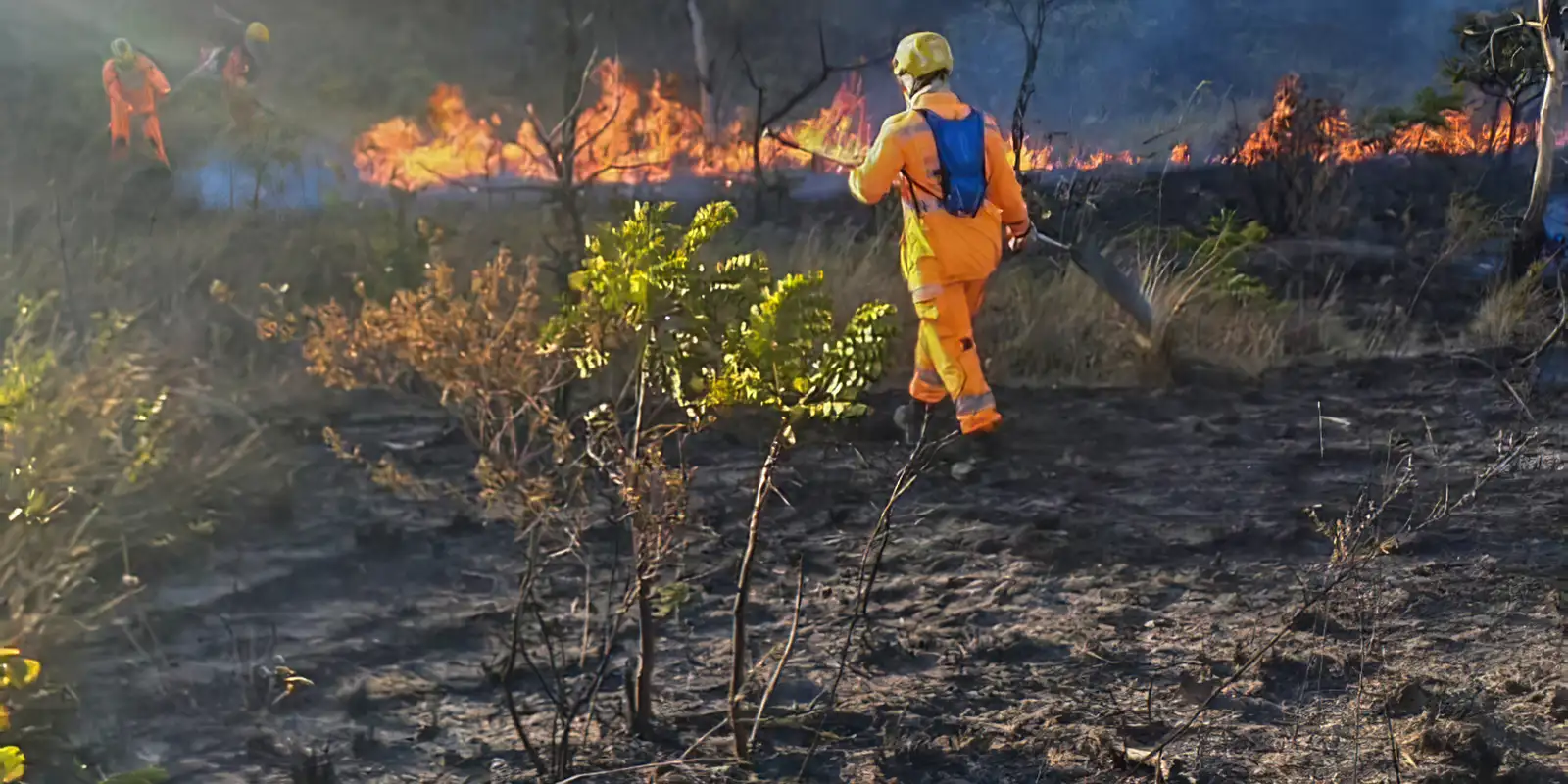 Ação humana é apontada como causa principal de incêndios em MG