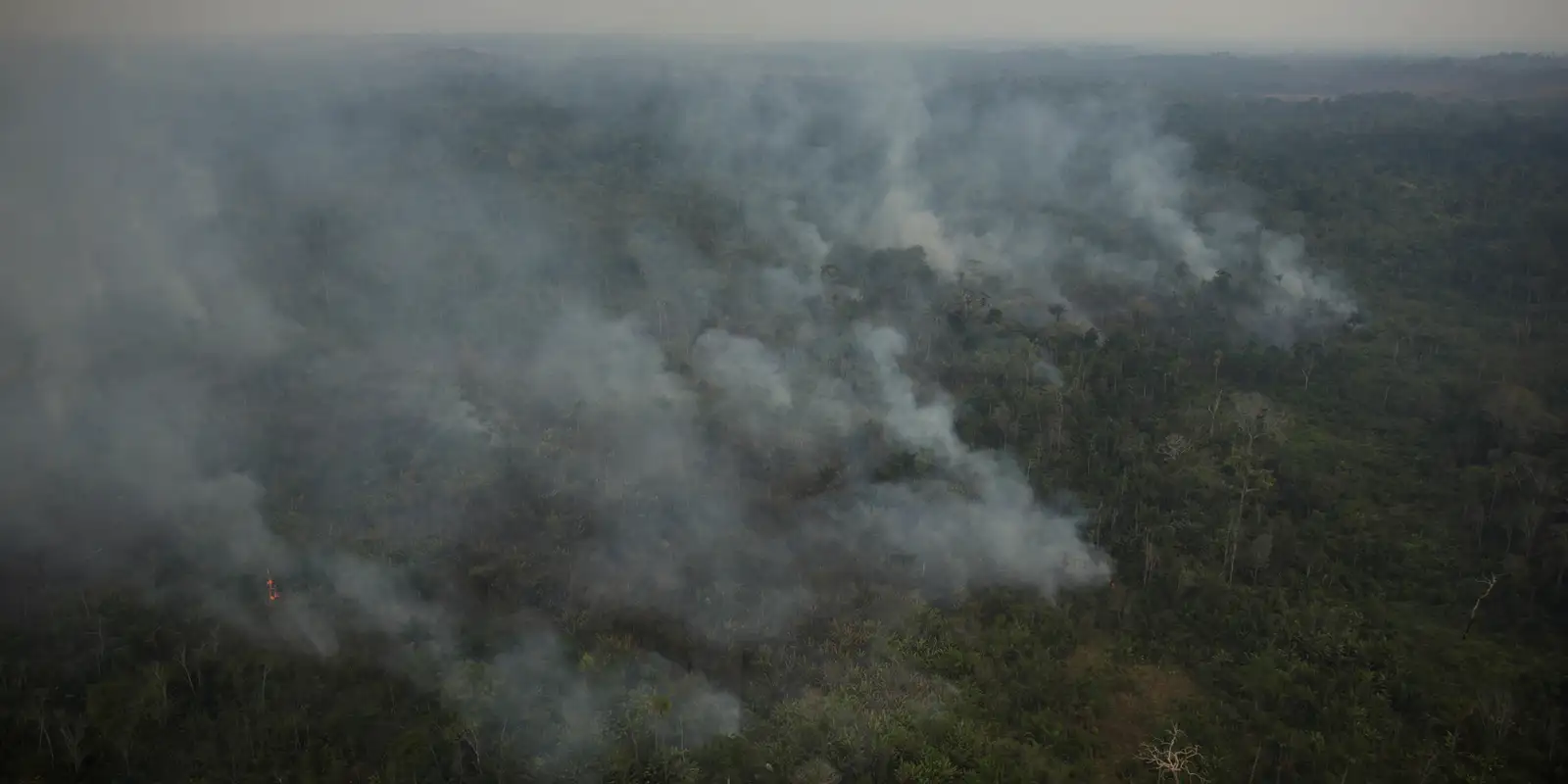 Estiagem e queimadas continuam a castigar floresta amazônica