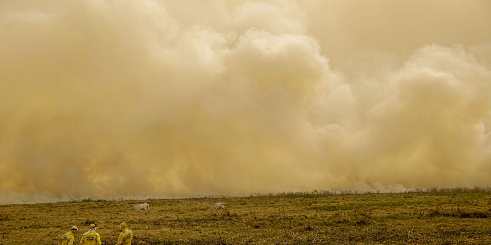 Fim de semana teve mais de 8 mil focos de incêndio no país