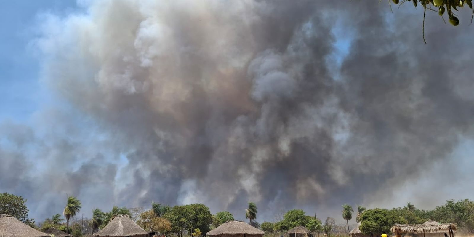 Fogo destruiu 3 milhões de hectares de terras indígenas do Cerrado