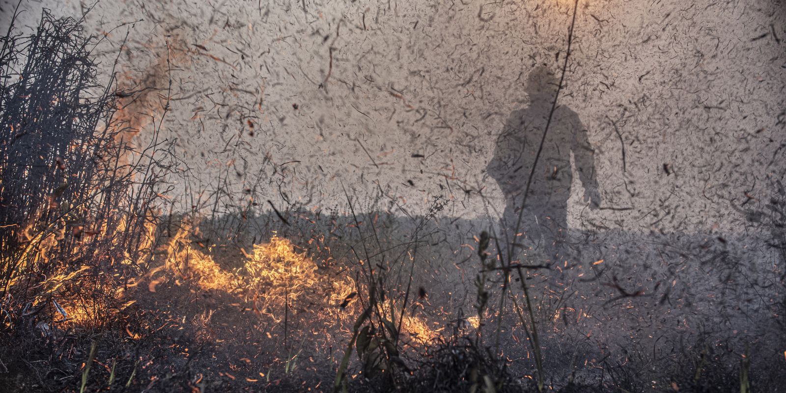 Incêndios na Amazônia produziram 31,5 mi de toneladas de CO2