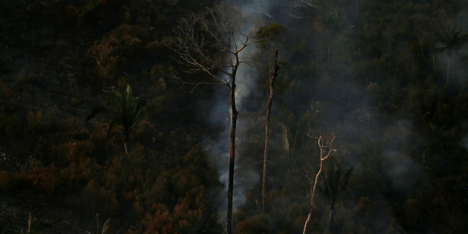 MPF aciona justiça para contratação de brigadistas contra incêndios