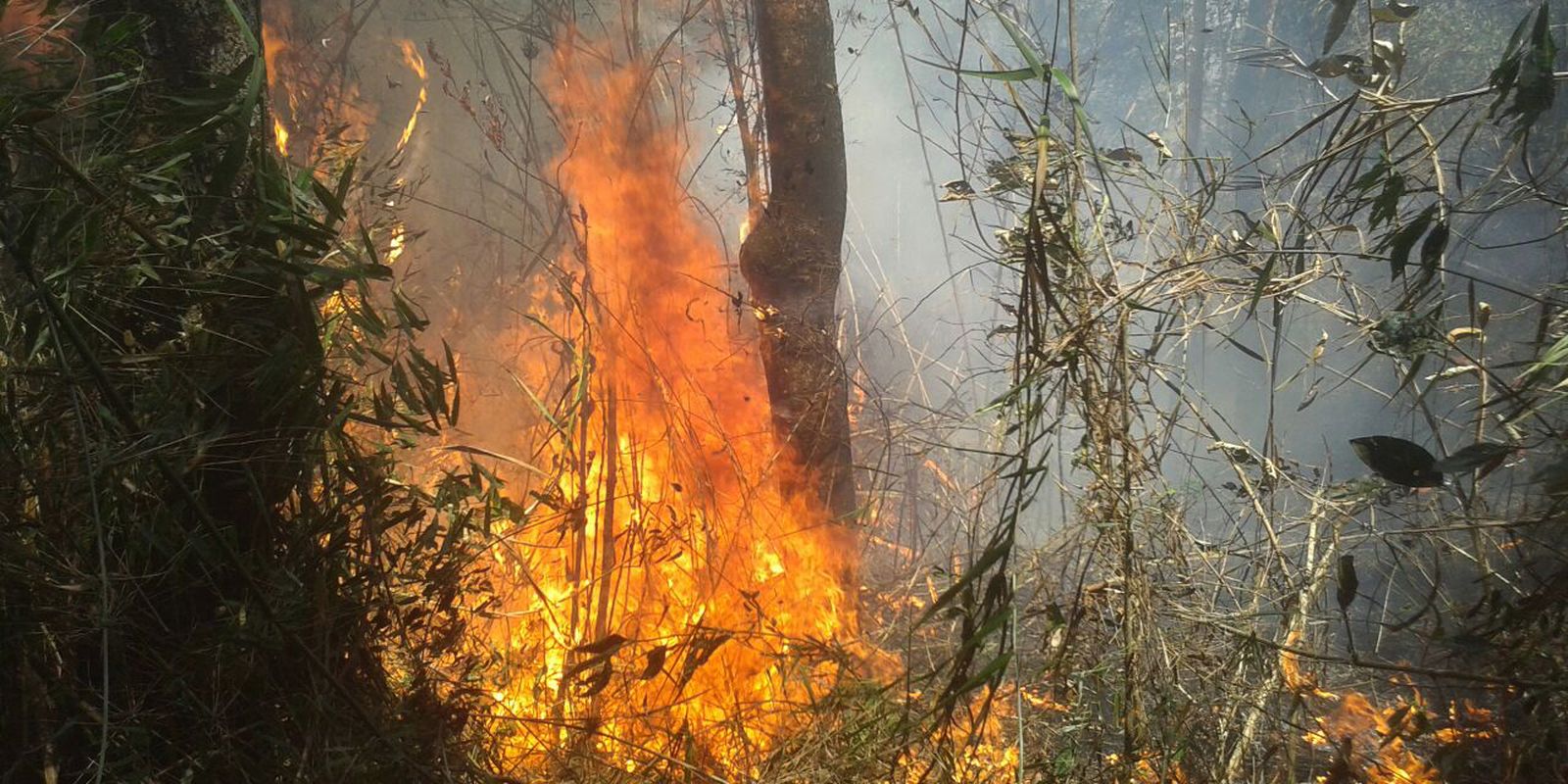 Polícia do Rio identifica 34 pessoas que provocaram incêndios