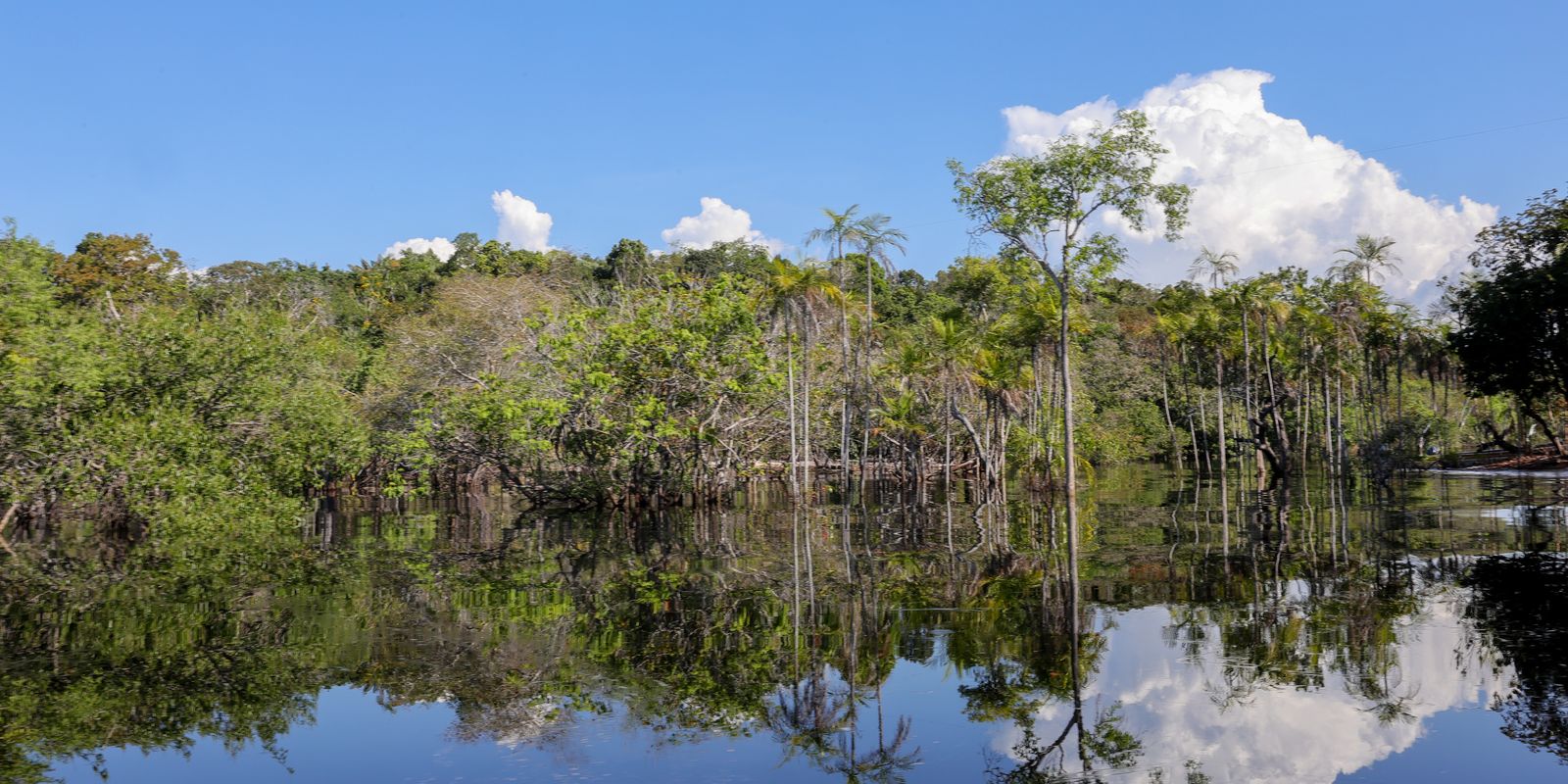 Prefeitura de Manaus decreta situação de emergência por causa da seca