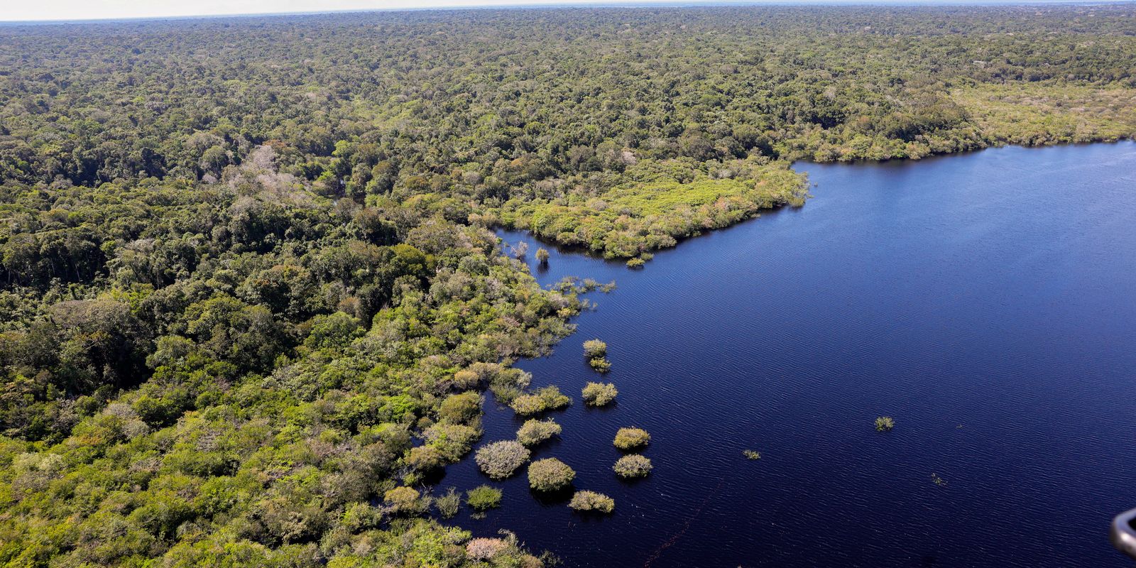 Viva Maria: Dia da Amazônia relembra ameaças ao bioma