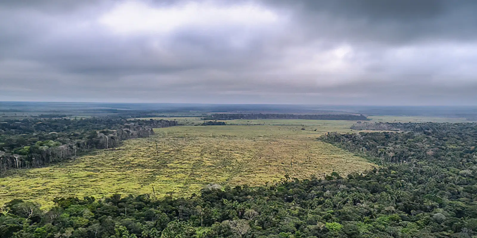 Operação combate fraudes no crédito rural e desmatamento na Amazônia