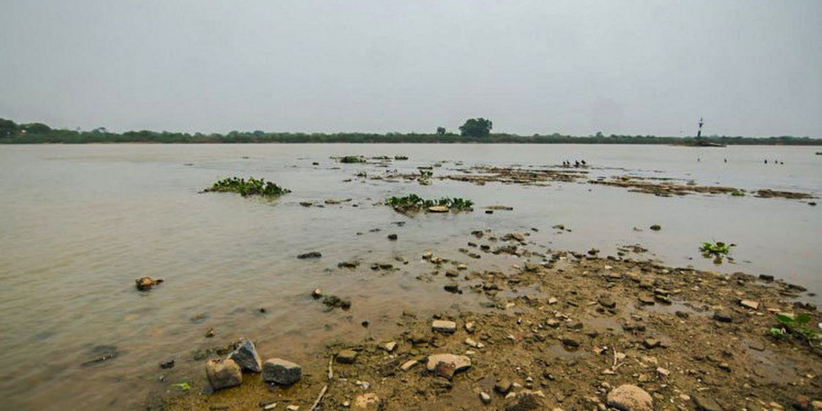 Rio Paraguai atinge a cota mais baixa dos últimos 124 anos