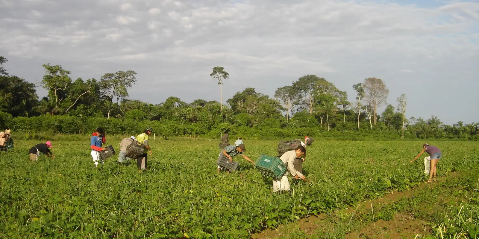 Governo lança programa para agricultura familiar e agroecologia