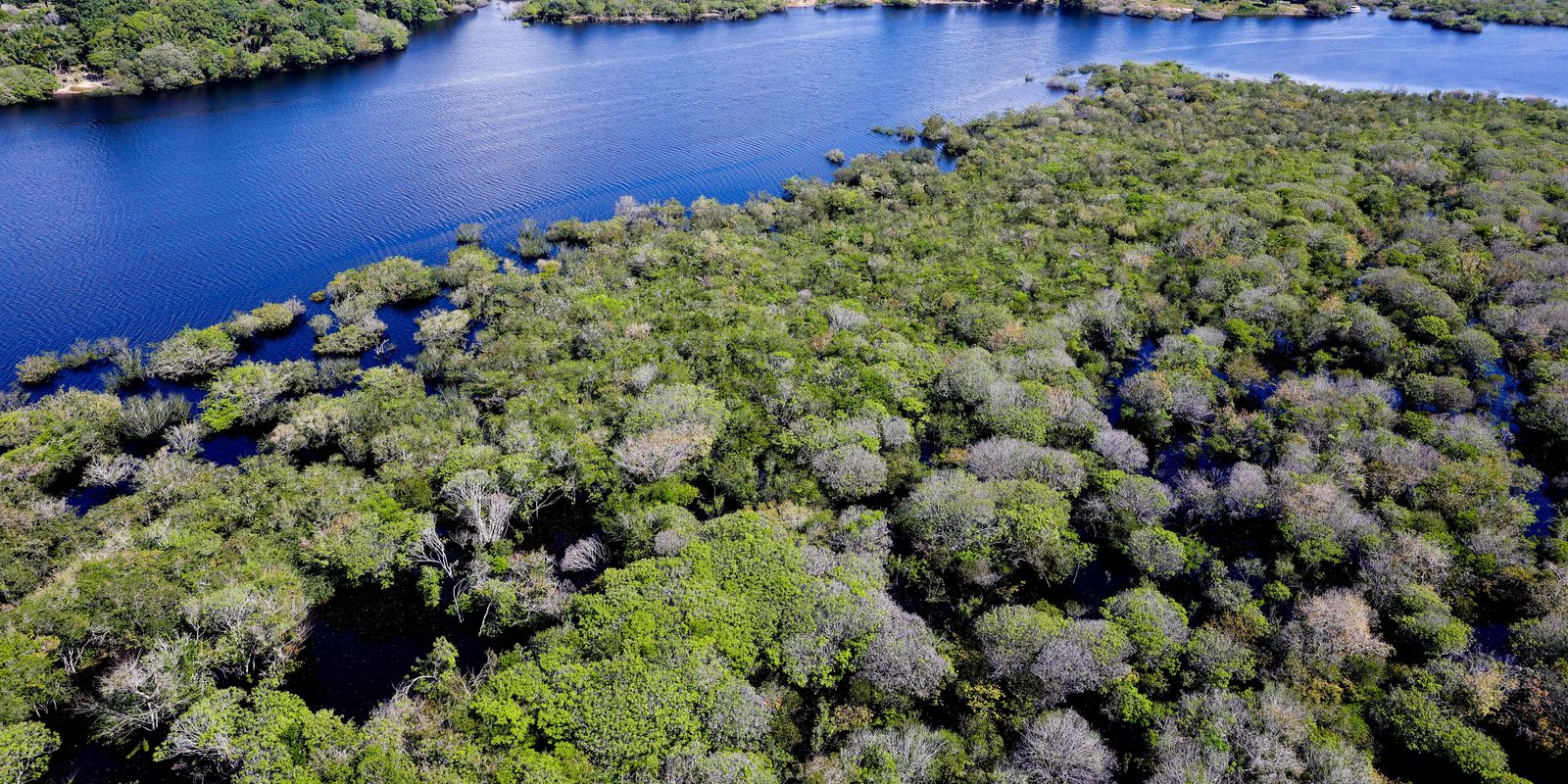 Restaura Amazônia vai financiar projetos para recuperar floresta