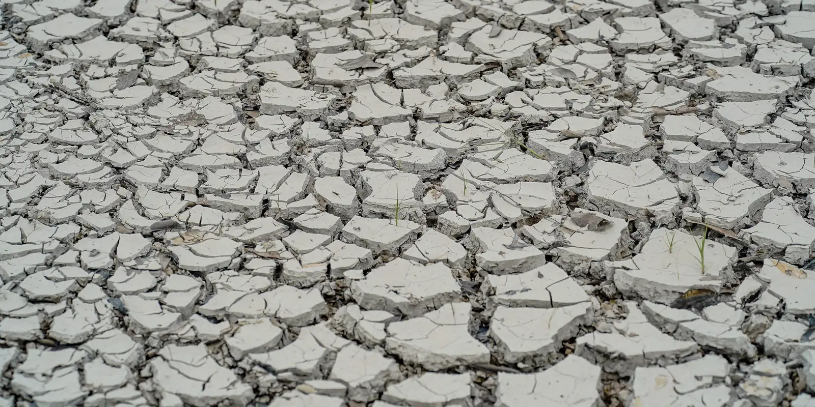 Piauí decreta emergência em 82 cidades devido à seca prolongada