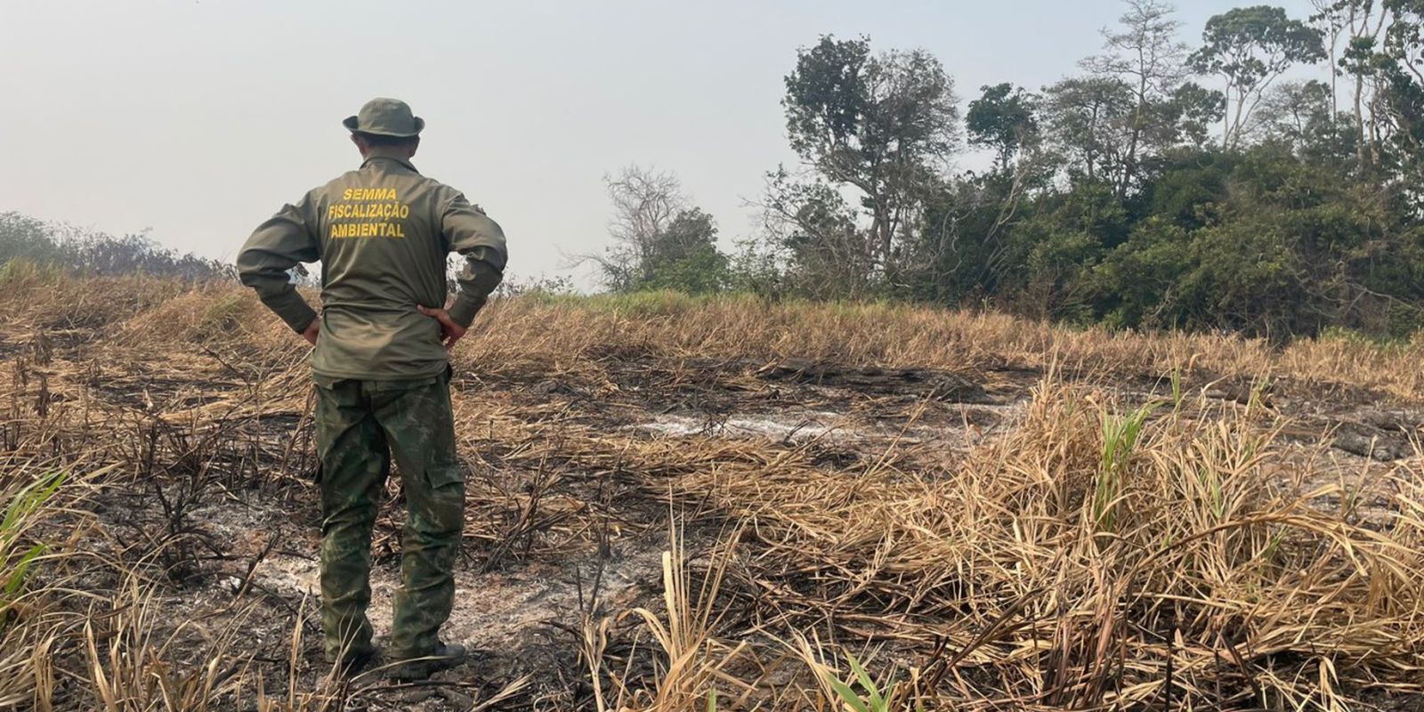 Queimadas em 2024 destroem área equivalente ao estado doTocantins