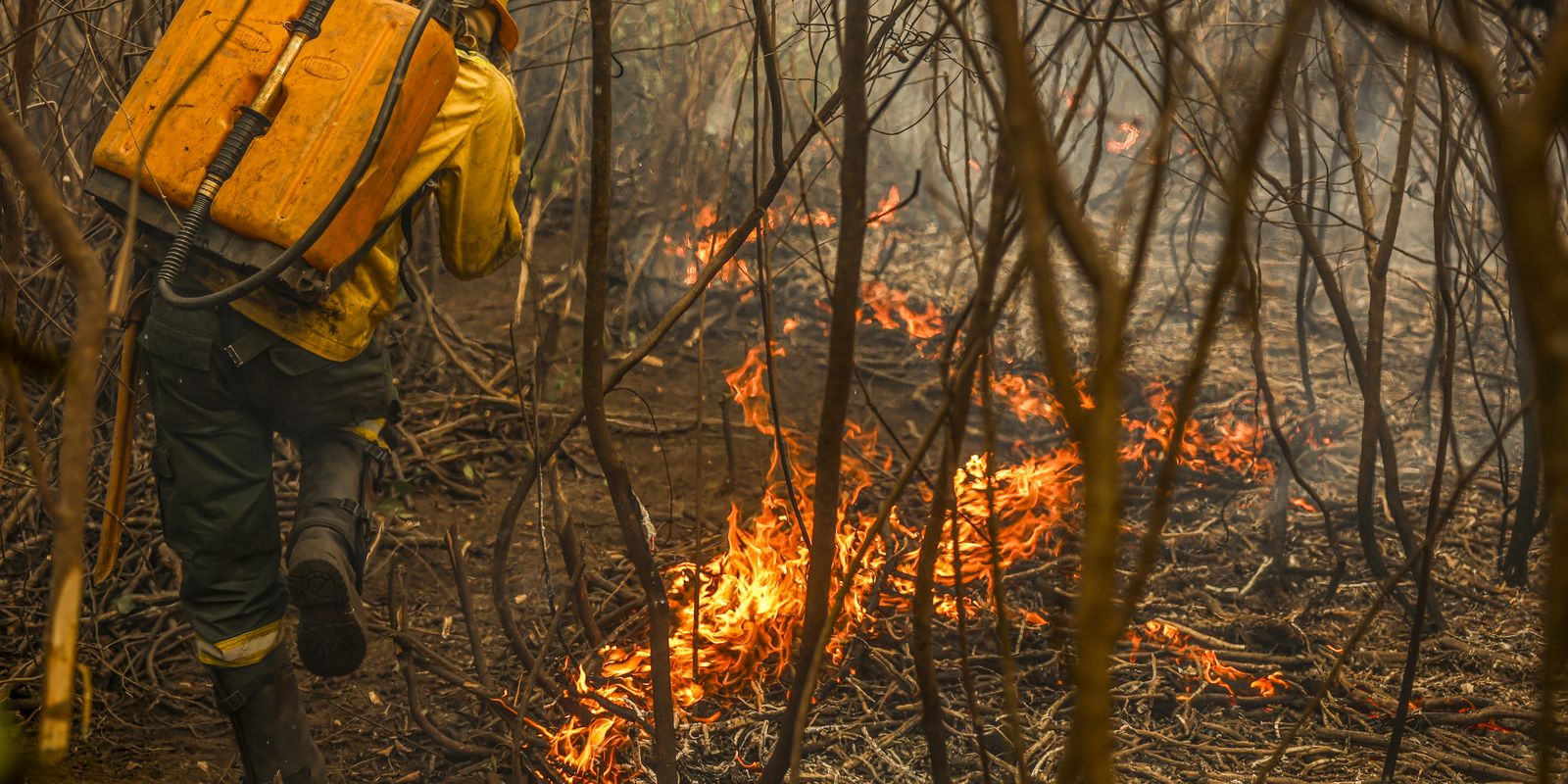Governo lança painel inédito para rastrear gastos ambientais