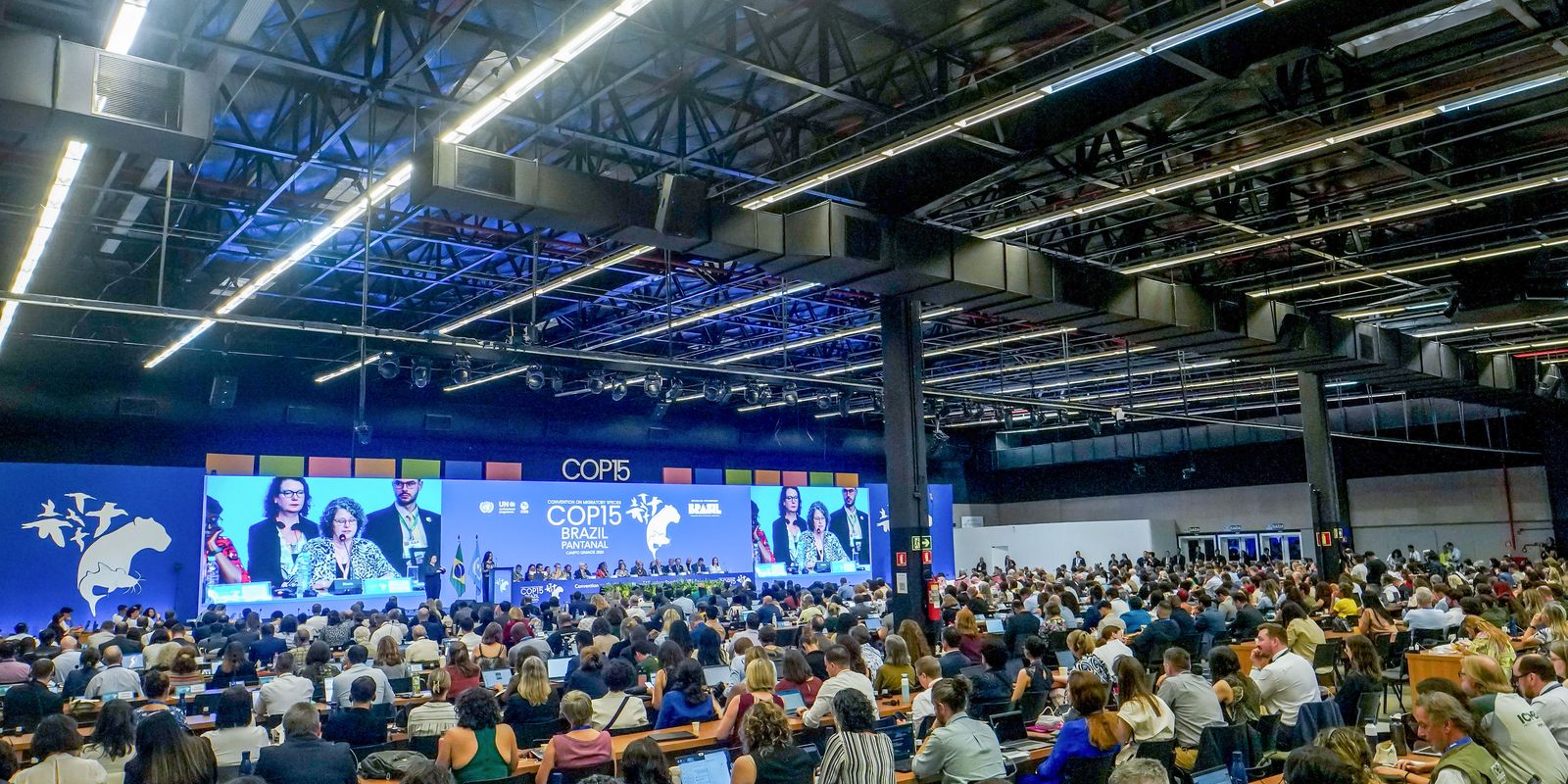 COP15 aprova maior proteção de bagres gigantes da Amazônia e ariranhas